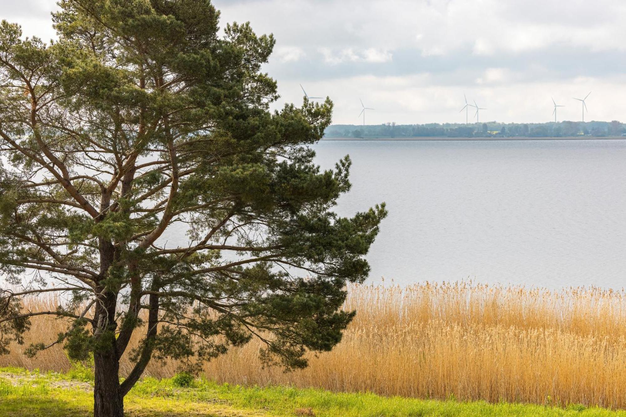 Pearl Turquoise Near The Sea With Free Parking By Renters