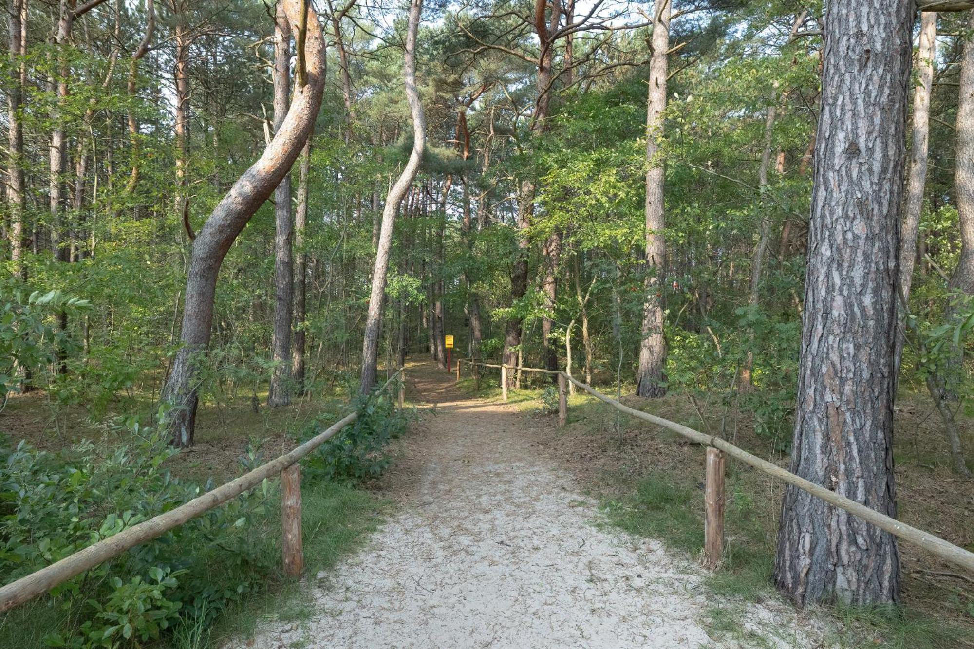 Rogowo Pearl Turquoise Near The Sea With Free Parking By Renters Apartment *